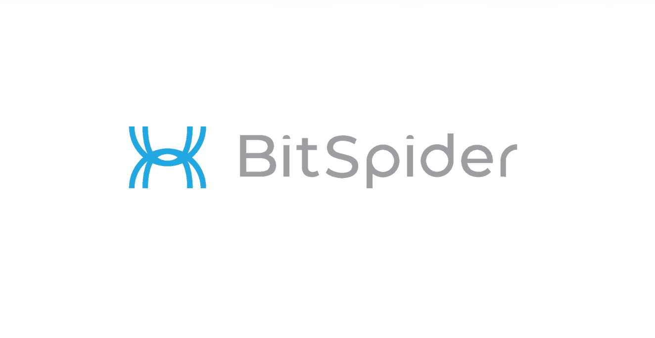 BitSpider OÜ Announces Appointment of Rando Visnapuu to the Board